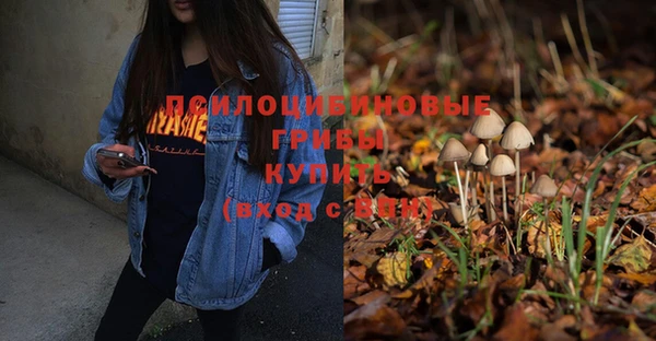 спайс Белокуриха