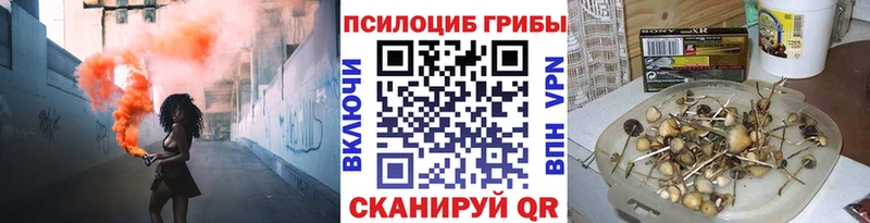 купить  цена  Пионерский  Галлюциногенные грибы ЛСД 